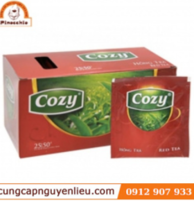 COZY - HỒNG TRÀ